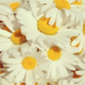 Meet your Posher, Sofia